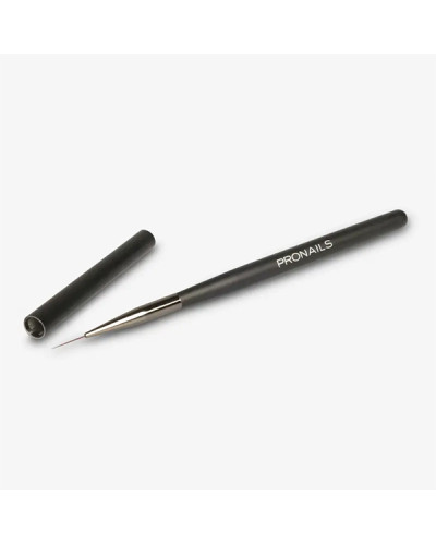 Pinceau Liner Brush Pro ProNails