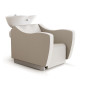 Bac de Lavage Throne Lift Assise Synchronisée Agréé Carsat Karisma