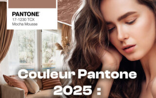 Couleur Pantone 2025 : La tendance mocha mousse