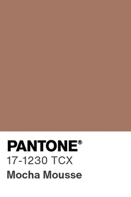 Pantone 17-1230 Mocha Mousse : la couleur tendance de 2025