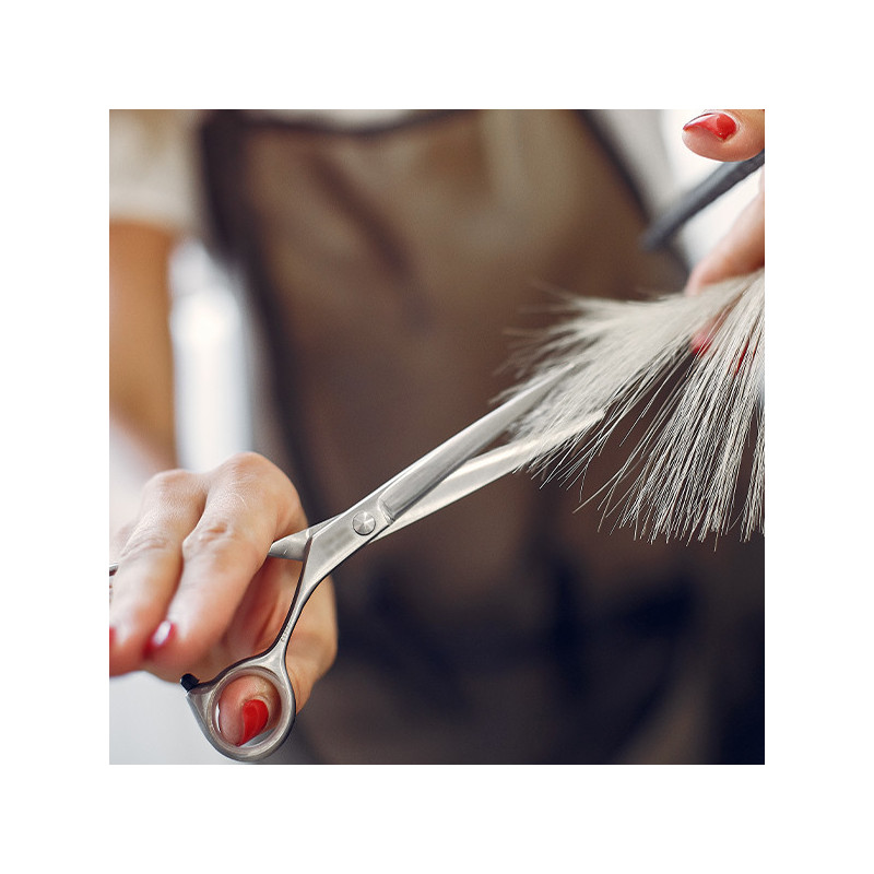 Ciseaux de Coiffure Professionnels & Sculpteurs - Pro Coiffure