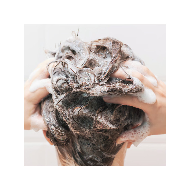 Grossiste Shampooings & Soins Capillaires Pro - Pro Coiffure