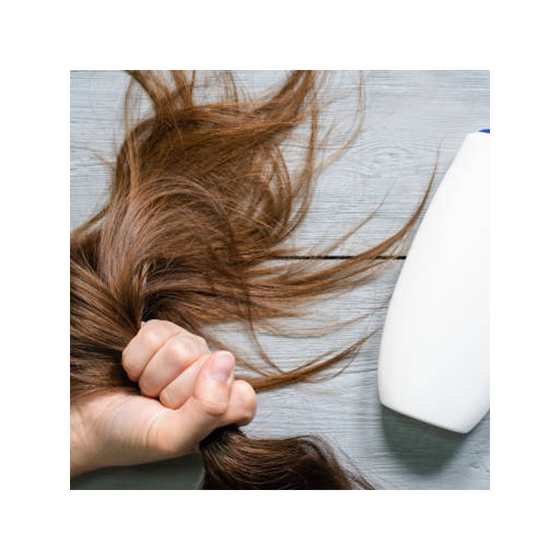 Shampooing anti-chute