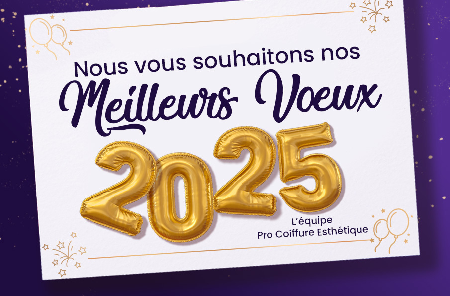 Meilleurs vœux 2025