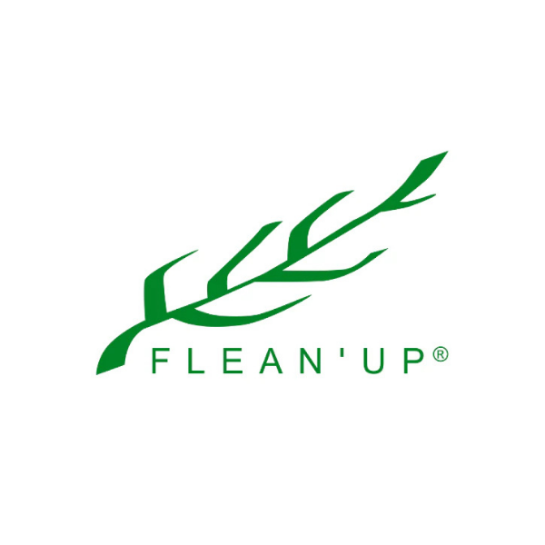 FLEAN UP