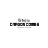 FIJIC